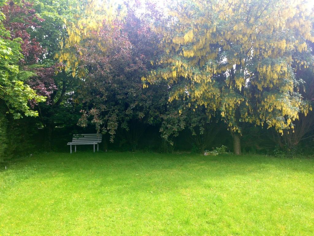 Palm Grove B&B Cashel (Tipperary) Chambre photo